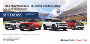 Hoà nhịp World Cup